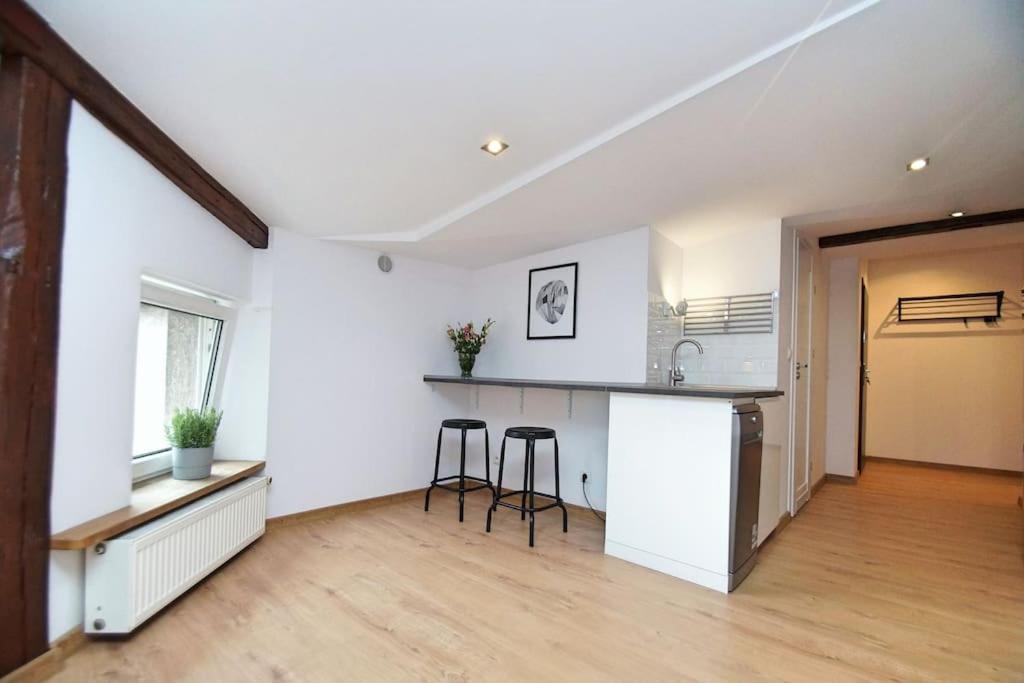 Fv/ Mariacka 7 - Studio Apartment -Katowice Kültér fotó